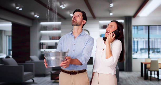 Best Mold removal after water damage  in South Portland, ME